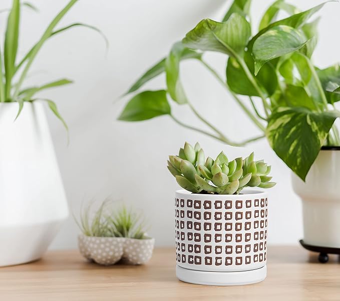 D'vine Dev Set of 2 Ceramic Planter Pots with Drainage Hole and Saucer, 4.5 Inch 6 Inch Plant Pots for Plants Indoor Houseplants, White, 99-A-1
