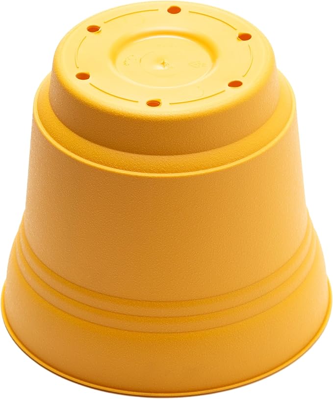Bloem Saturn Round Planter with Saucer Tray: 12" - Earthy Yellow - Durable Plastic Pot, Matte Finish, Removable Saucer, for Indoor & Outdoor Use, Gardening, 3 Gallon Capacity