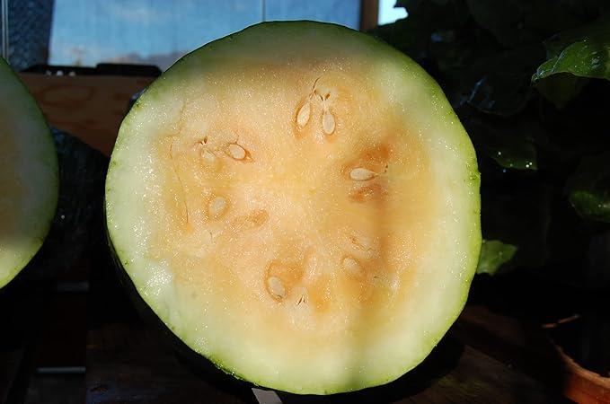 Plant Good Seed Organic Moon and Stars Yellow Watermelon Seeds - Pack of 20, Heirloom Seeds for Planting Fruits, Vegetables - Gardening Supplies, Fruit, Vegetable Garden - Non-GMO, from USA