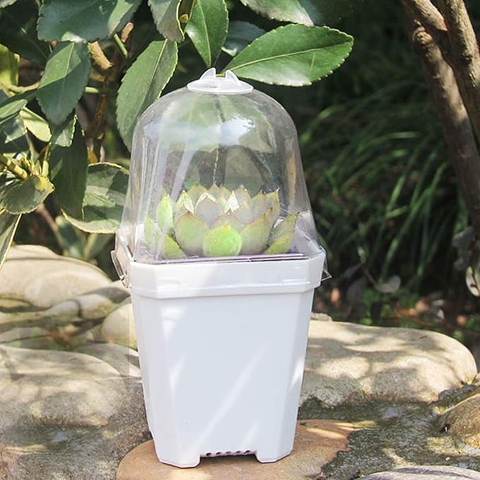 Purple Star 1N 30 PCS Plant Nursery Pots with Humidity Dome-Gardening Pots Small-Square Planting Containers Cups for Succulents Seedlings Cuttings Transplanting (30 PCS-S)