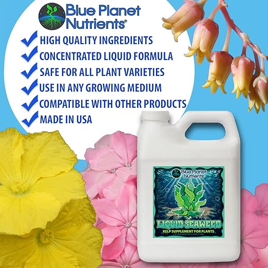 Liquid Kelp Seaweed Fertilizer Concentrate (Gallon) - Blue Planet Nutrients Ascophyllum Nodosum Liquid Seaweed Supplement - Makes 1,600+ Gallons - Organic Kelp for All Plants & Gardens