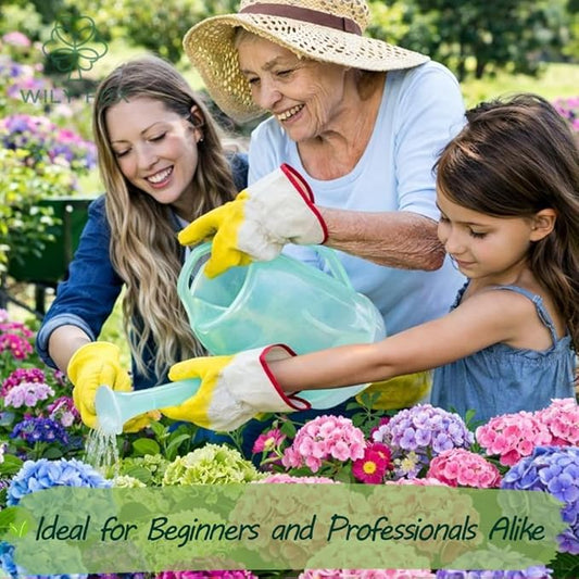 Hydrangea Seeds for Planting - 50 Heirloom Classic Flower Seeds - Beautiful Blooming Ornamental Shrub for Home Garden, Borders & Containers
