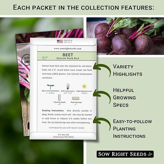 Sow Right Seeds - Beet Seeds for Planting - Detroit Dark Red, Golden Globe, Chioggia & Cylindra Varieties - Non-GMO Heirloom Seeds to Plant Home Vegetable Garden - Great Gift for Friends and Family