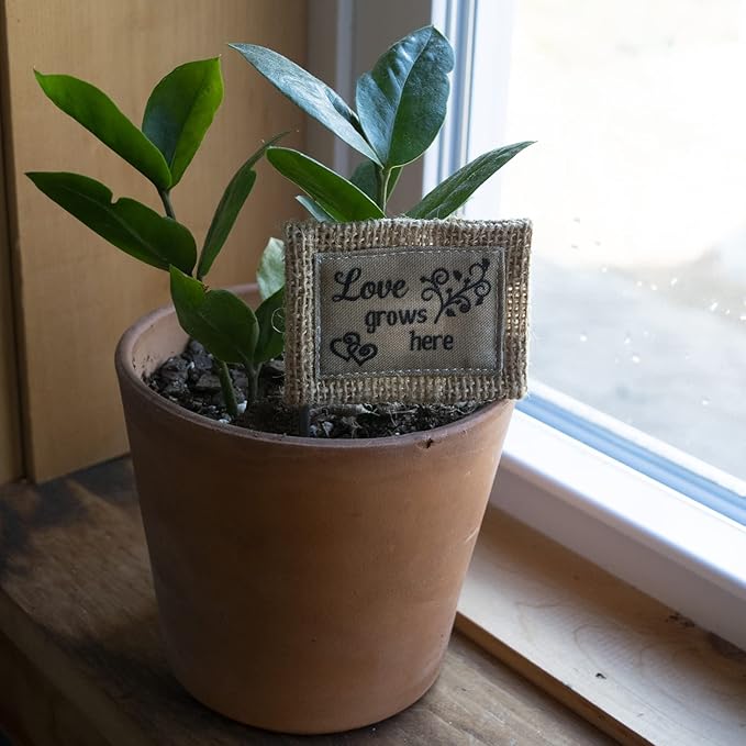 Abbey & CA Gift Love Grows Here Flag Flower Pick