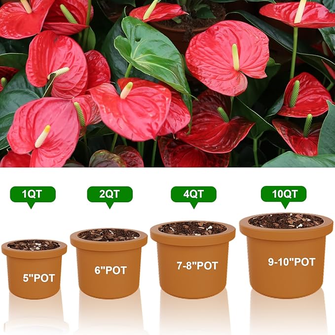 All-Natural Potting Soil for Anthurium & Indoor Plants 1qt - Enhanced Drainage, No Additives | Premium Indoor Plant Soil Mix