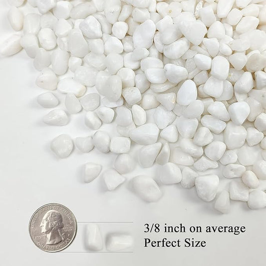 5 lbs White Pebbles for Indoor Plants, 3/8 Inch Decorative White Gravel, Polished River Rocks for Potted Plants Vase Cactus Bird Bath and Outdoor Garden Landscaping