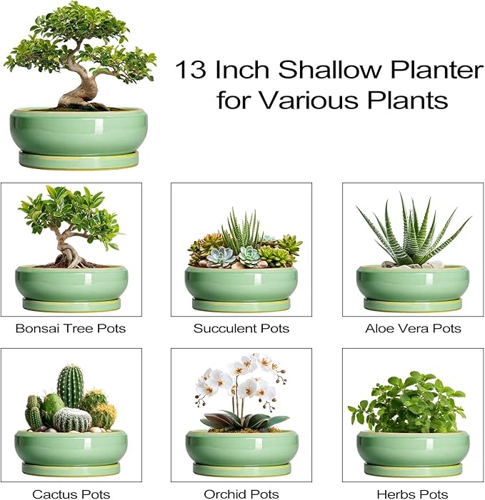 Large Bonsai Pots - 13 Inch Ceramic Succulent Pots for Indoor Outdoor, Ceramic Planter with Drainage Hole and Saucer, Shallow Round Planter, Garden Decor, Gifts for Women Men, Light Green