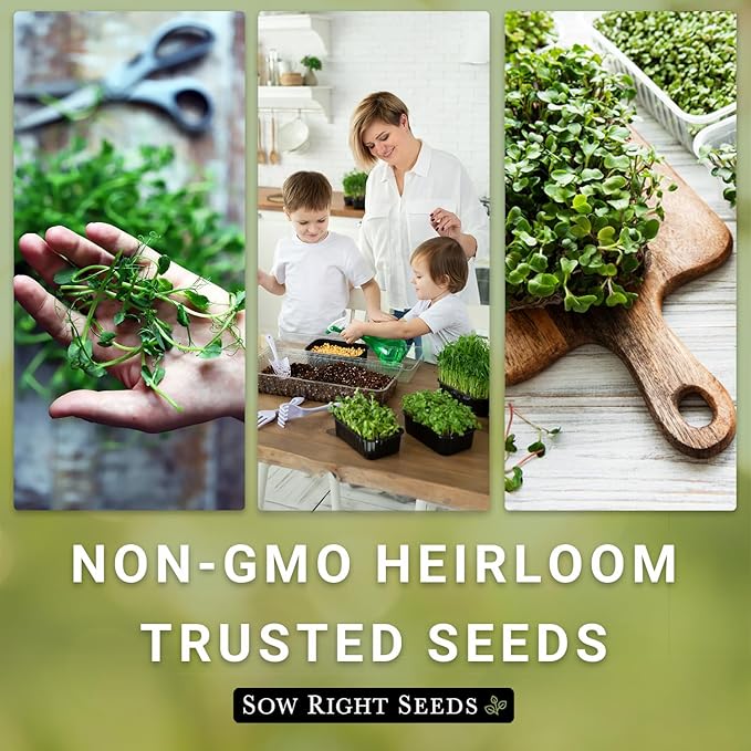 Sow Right Seeds - Large Microgreens Seed Collection - 10 Microgreen Variety Indoor Garden Packets with Superfood Seeds for Kitchen Counter Sprouting & Growing - Ideal for Indoor Gardening