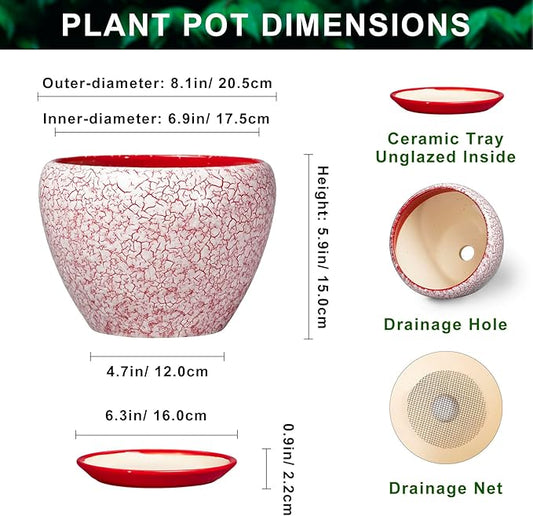 Ceramic Planter for Plants - 8 Inch Plant Pot Indoor with Drainage Hole and Tray, Round Flower Pots for Indoor Outdoor, Modern Planter, Home Decor, Gifts for Plant Lovers, Crackle Red
