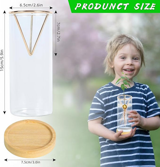 2 Pack Avocado Tree Growing Kits - Avocado Growing Vase - Avocado Seed Starter Vase Glass Plant Pot Easy Seed Sprout Starter Gift for Women Gardening Lovers Home Office Table Decoration (Gold)