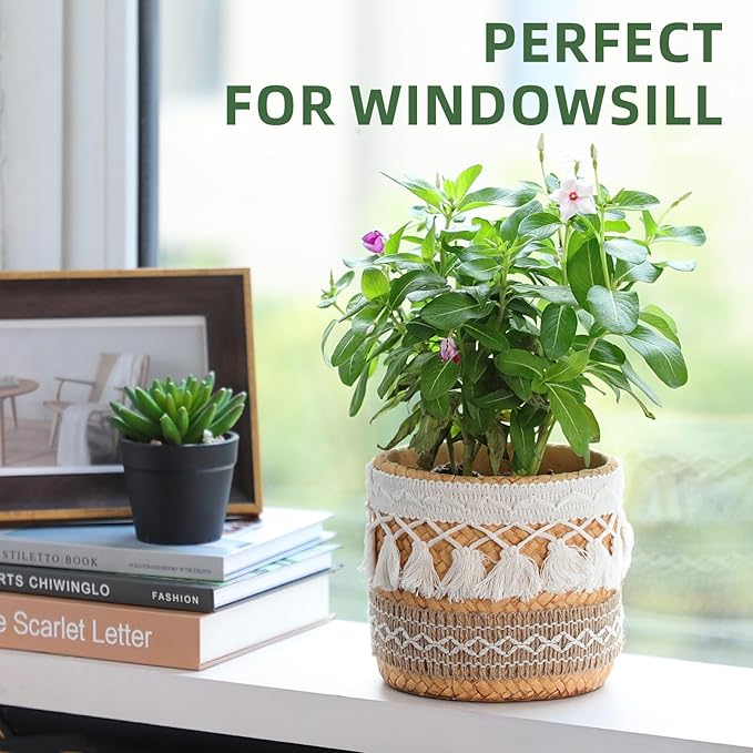 Concrete Rattan-Style Plant Basket Planter, 5" Boho Plant Pots Indoor Outdoor with Drainage Hole, Flower Pot for Succulents, Herbs, Modern Farmhouse Decor, Ideal Gift for Plant Lovers