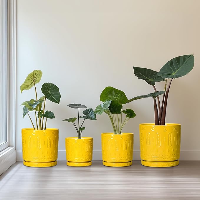 6 Inch Pots for Plants, Ceramic Pots for Plants with Drainage Holes and Tray, Round Planter for Indoor Outdoor, Modern Plant Pot, Decorative Flower Pot, Table Decor, Teacher Gift, Yellow