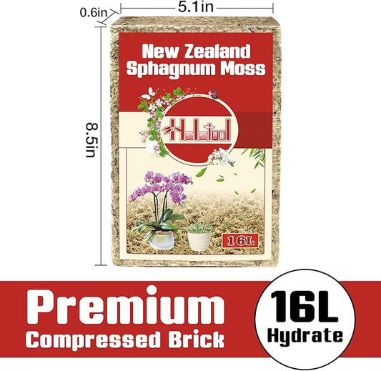 Halatool Premium New Zealand Sphagnum Moss, 200g(16L When Hydrated), for Orchid Repotting Succulent Sarracenia Potted Plants Gardening & Reptiles