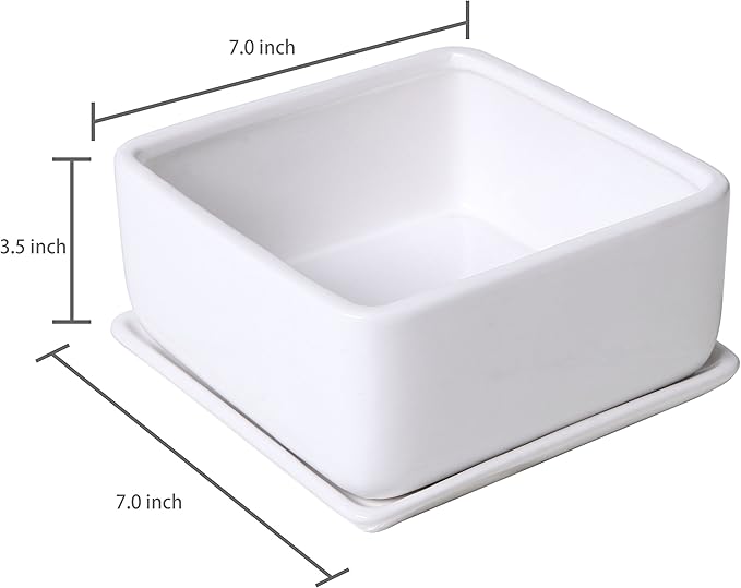 MyGift Modern White Ceramic Square Indoor Small Planter, Flower Succulent Plant Pot with Drainage Hole and Removable Drip Tray