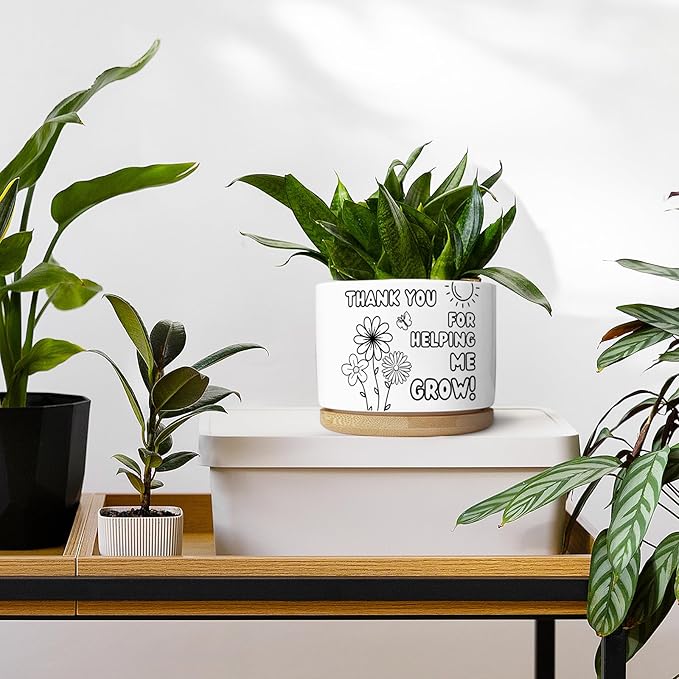 Thank You for Helping Me Grow Appreciation Gifts, Ceramic Succulent Plant Pot for Home Office Desk Decor Thank You Gift for Teacher Mom Father Boss Motivation Gifts (Plant Not Included)