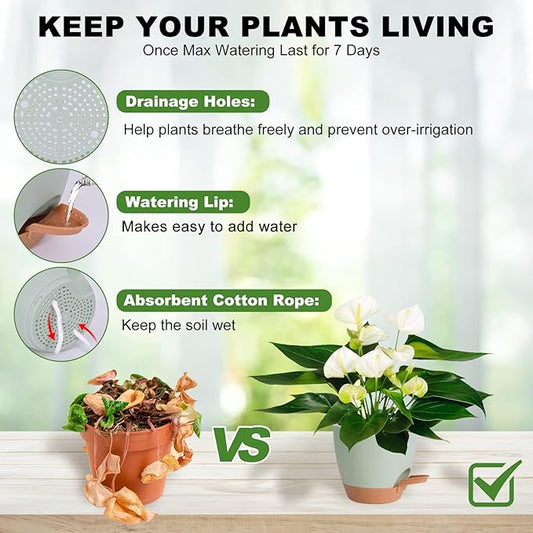 Plant Pots Indoor 7/6.5/6/5.5/5 Inch Self Watering Planters for Indoor Plants with Drainage Hole, Plastic Flower Pots for Succulents, African Violet (Green)