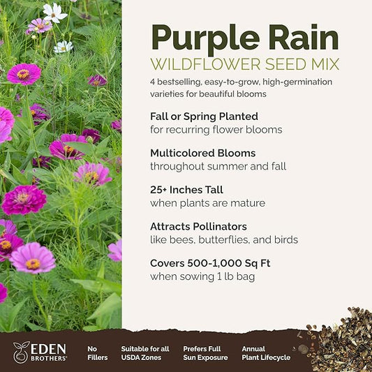 Eden Brothers Purple Rain Flower Mixed Seeds for Planting, 1 lb, 480,000+ Seeds with Zinnia Purple Prince & Violet Queen, Cosmos | Attracts Pollinators, Plant in Spring, Zones 3, 4, 5, 6, 7, 8, 9, 10