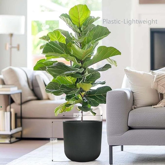 11 Inch Modern Cylinder Planter, Lightweight Weather & UV Resistant Plastic Plant Pot with Drainage Hole & Rubber Plug, Indoor Outdoor Flower Pot for Home, Garden & Office, Fits Monstera, Coal Black