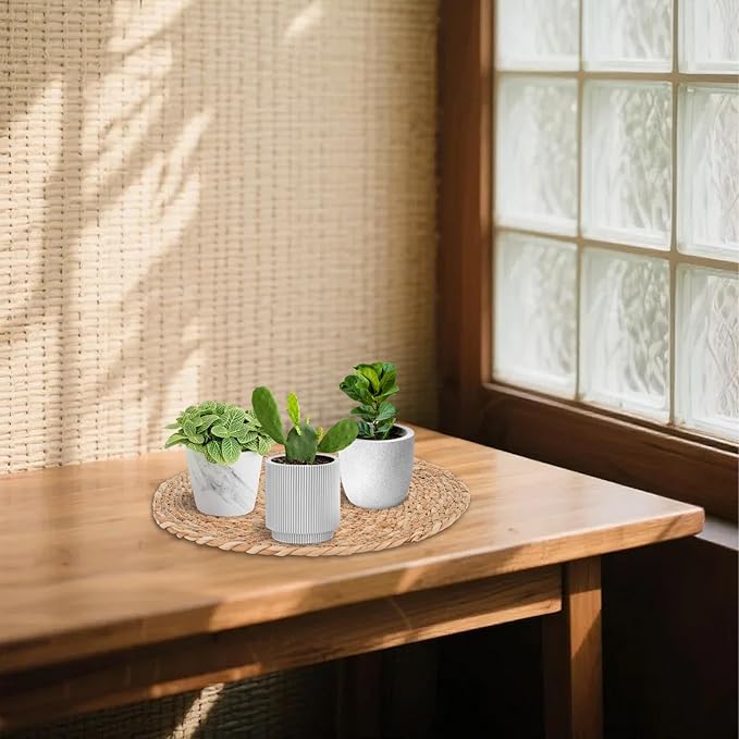 6 Pack 14 Inch Large Woven Plant Coasters for Floor, Natural Seagrass Plant Mats for Indoor House Plants, Thick Round Flower Pot Pads for Carpet & Hardwood Protection, Boho Farmhouse Decor