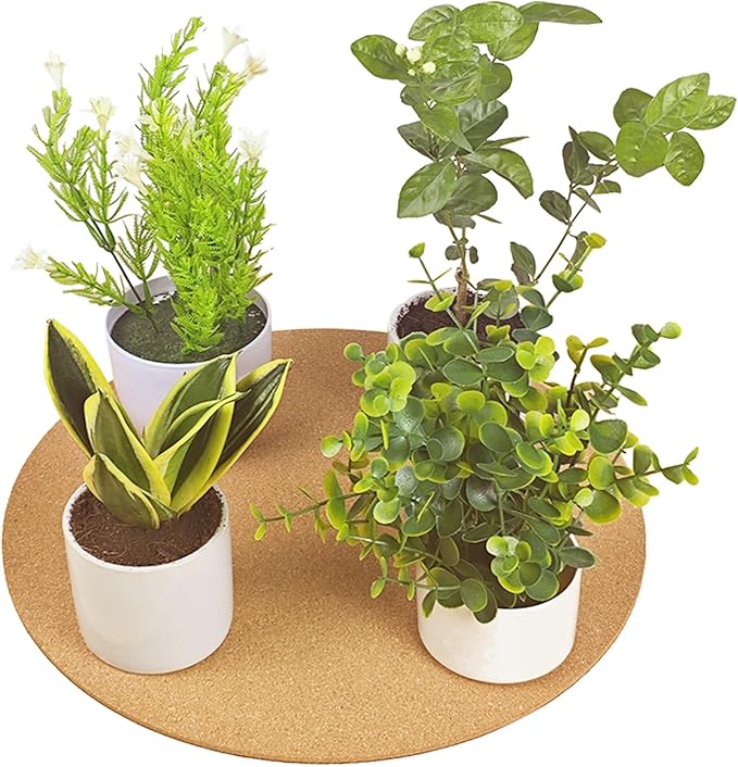 14 Inch Large Cork Plant Coasters, 2 Pieces Cork Plant Mats, Cork Coaster for Planters, Large Plant Coasters for House Plants Indoor Outdoor (Nude & Black)