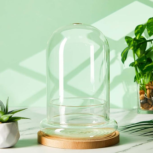 1 Pcs 5.9 x 7.9 Inch Glass Terrarium Clear Terrarium Planter Container Glass Dome Cloche with Airhole and Base for Plant Flower Home Tabletop Display Centerpiece, Plants Not Included
