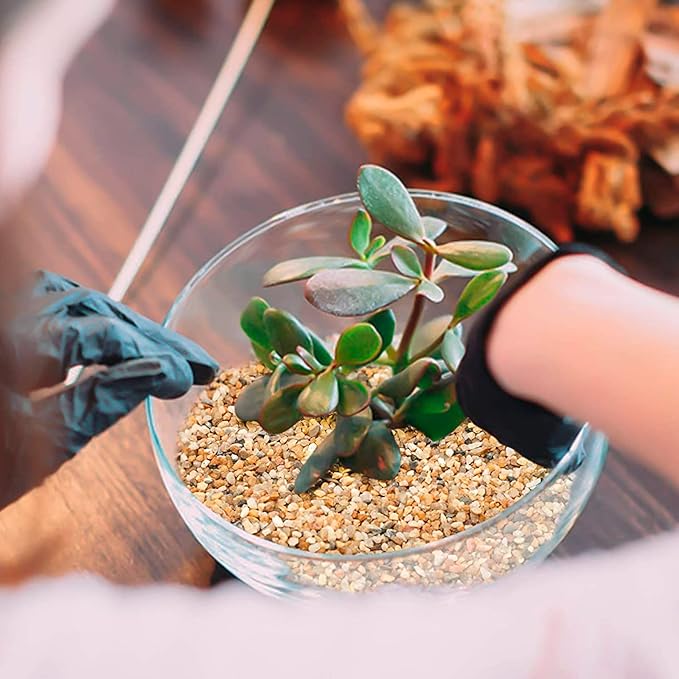 Coarse Silica Sand 3lb Succulent Rocks Stones Potting Horticultural Grit Cactus Bonsai Soil, Decorative Rocks Gravel for Potted Plant, Fairy Garden, Aquarium, Terrarium, DIY