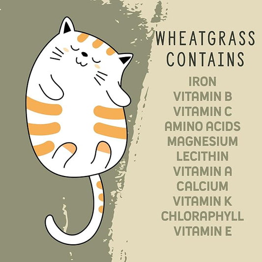 Organic Wheatgrass Cat Grass Premium Grow Kit 4 Pack | 100 % Wheatgrass Seeds Non‑GMO Seeds for Cats & Humans