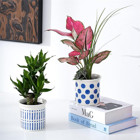 Pots of Indoor Plants 4 Inch Succulents Flower Pots Set of 2 Ceramic Planters Painted Blue Lines and Polka Dots Flower Pots with Drainage Hole for Cactus and Small Houseplants Gifts