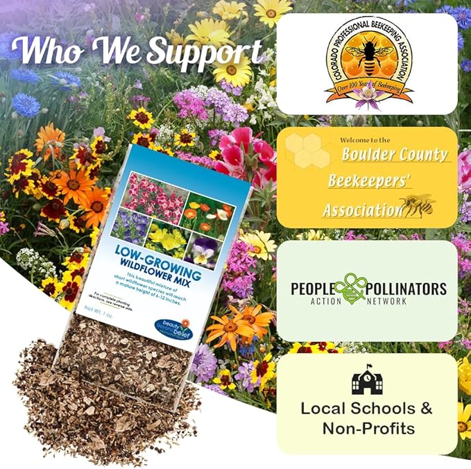Low Growing Wildflower Seeds Mix - 1oz, 6-12 Inches Short Flowers – Non-GMO Natural Mix of Annual & Perennial Garden Seeds with High Germination Rate