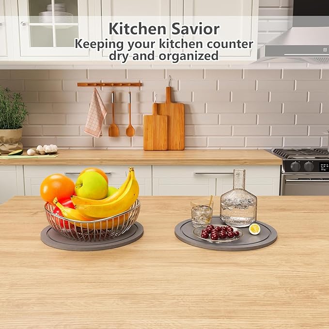 Plant Saucer for Indoors, 2 Pack 8 Inch, Instantly Dry Diatomaceous Earth Plant Trays, Stone Plant Pot Saucers Drip & Drainage Tray, Women’s Gifts for Valentine, Gray