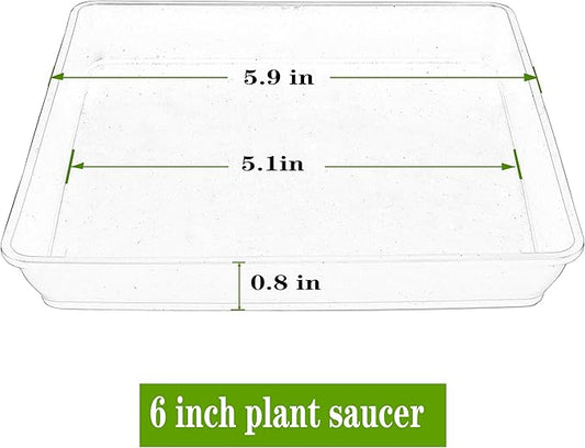 Square Plant Saucer 6inch 5 Pack, Plastic Plant Saucers, Plant Water Dray Tray, 8 10 12 14 16 18 20 Inch Garden Planters for for Pots Base Indoors and Outdoors Plants(6 inch Black)