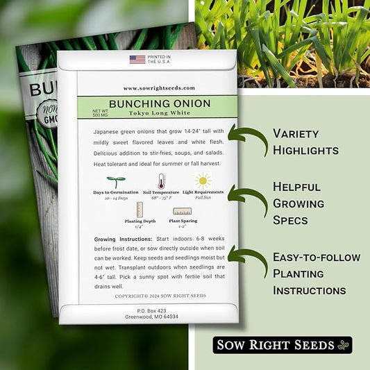 Sow Right Seeds - Tokyo Long White Bunching Onion Seeds for Planting - Perfect for Planting Outdoors or Indoors - Non-GMO Heirloom Green Onions - Easy to Grow for Gardeners - Tasty Flavor (4)