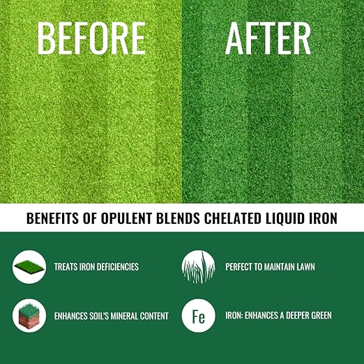 Chelated Liquid Iron (1 Gallon) - Liquid Chelated Iron for Lawns, Trees, and Shrubs - 6.5% Iron - EDTA Free - Made in The U.S.A