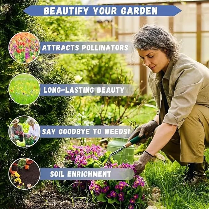 1000 Double Cosmos Seeds for Planting – Fully Double Blooms, Mixed Colors, Open-Pollinated Annual Wildflowers, Attract Butterflies & Bees, Cut Flower & Garden Bedding Use