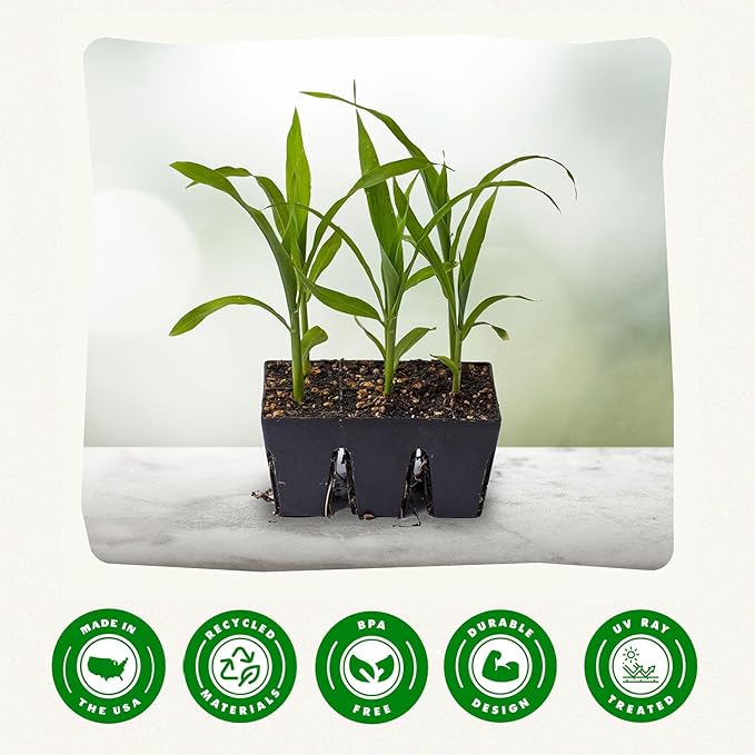Epic Gardening Reusable Seed Starter Tray - 6 Cell/72 Seedling Starter Trays - Easy Watering, Indoor Greenhouse, Plant Starter, Gardener-Friendly for Seedlings | UV-Treated & BPA-Free - Black
