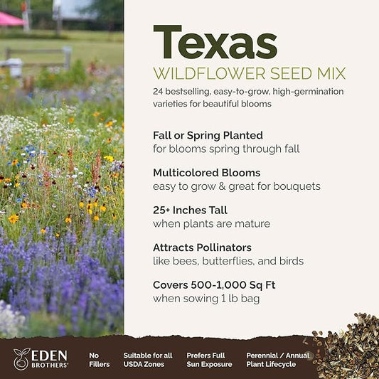 Eden Brothers Texas Wildflower Mixed Seeds for Planting, 1 lb, 480,000+ Seeds with Cornflower, Birds Eyes, African Daisy | Attracts Pollinators, Plant in Spring or Fall, Zones 3, 4, 5, 6, 7, 8, 9, 10