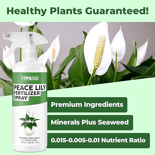 Peace Lily Fertilizer Spray, Gentle Foliar Feeding Spray for Healthy Leaves and Plants, Liquid Fertilizer by TPS Plant Foods, 16oz (475ml)