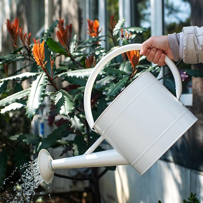 1.3 Gal Watering Can, Matte Cream White Finish, Galvanized, Metal Watering Can, Perfect Plant Water Can for Plants Indoor & Outdoor