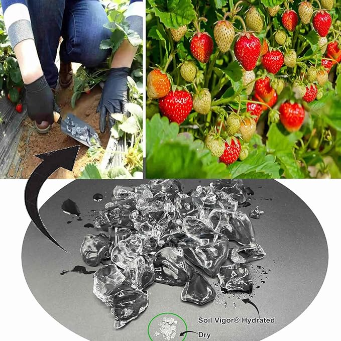 2 Pounds Super Water Storing Crystals Potassium Polyacrylate Polymers Soil Vigor Granules for Plants