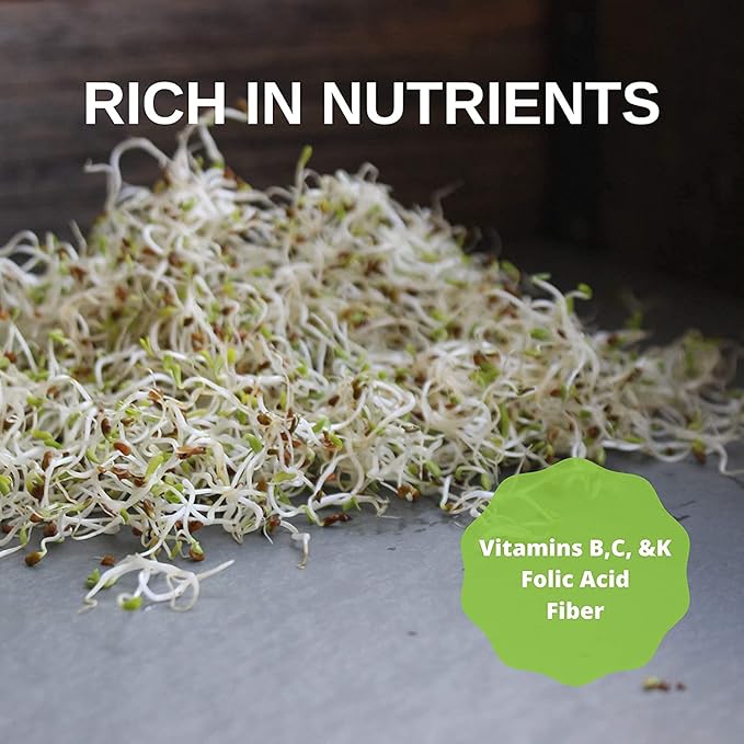 Handy Pantry Organic Alfalfa Seeds for Sprouting 1 lb – Microgreens and Sprout Seeds