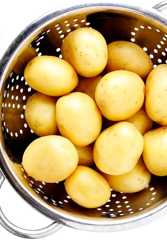 TomorrowSeeds - PRE-Order Now! Ships April 2026 - Yukon Gold Seed Potatoes Seeds - 5 Pounds - for 2026 Planting Certified for Growers Short Tuber Yellow Skin New Potato USA Garden Growing Planting