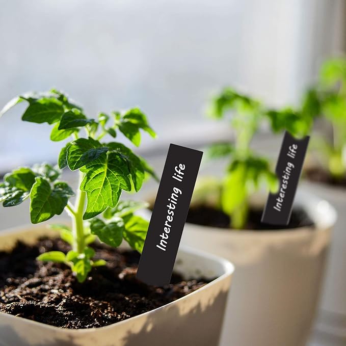 Whaline 200Pcs Plastic Plant Labels with Marker Pen Black Thin Pointed Plastic Plant Sign Tags Nursery Garden Markers for Seed Potted Herbs Flowers Vegetables (0.79 x 3.94)