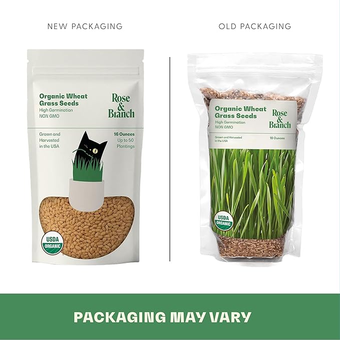 Rose & Branch Organic Wheat Grass Seeds for Indoor Cats - Cat Grass Seeds - 16 Ounces - 100% Organic Non-GMO - Hard Red Wheat - Harvested in USA - Easy to Grow