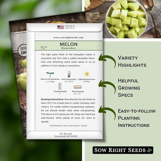 Sow Right Seeds - Green Honeydew Melon Seeds for Planting - Non-GMO Heirloom Packet with Instructions to Plant a Home Vegetable Garden - Super Sweet and Crisp Green Honey Dew Cantaloupe (3)