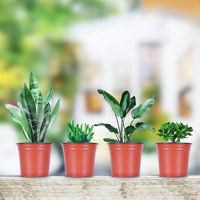 Kleeblatt 100 Pcs Nursery Pots 6 Inch, Plastic Planter Nursery Pots with 30 Pcs Plant Labels, Seedling Pots and Seedling Flower Plant Container