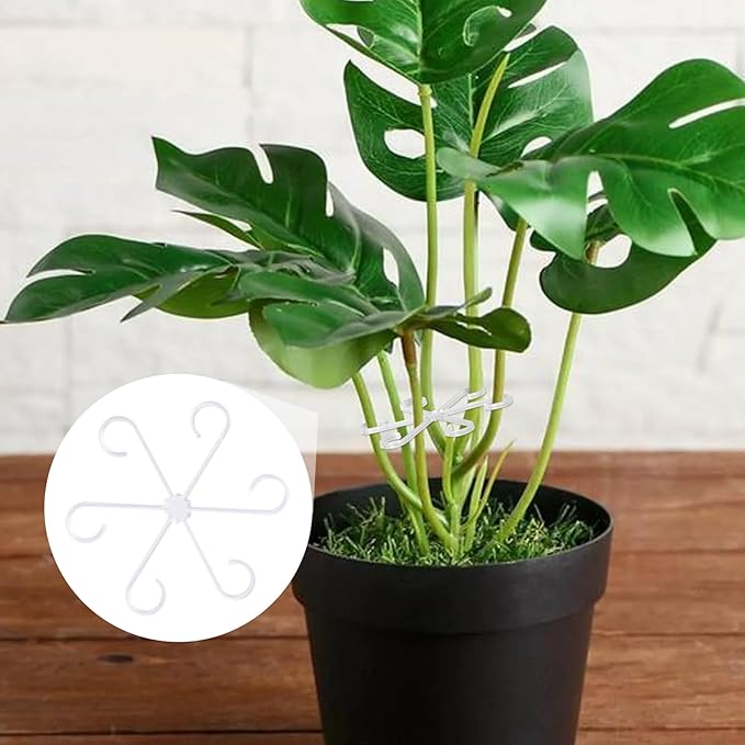 8PCS Climbing Plant Stem Support, 4 Sizes Plastic Houseplant Stem Holders, Reusable Flower Trellis Stem Stakes for Garden, Plant Growth Care Accessories Indoor, Outdoor - Clear