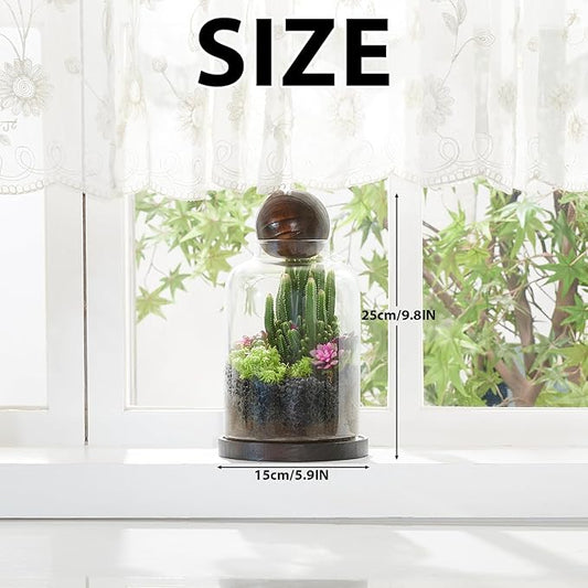 Yangbaga Large Glass Terrarium Succulent Plant Terrarium House for Plant/Moss Ball/Glass Fish Tank Table with Wood Base & Ball lid Office Home Decoration