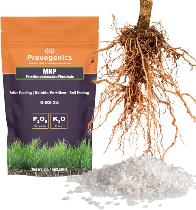 Monopotassium Phoshpate (MKP) Fertilizer | Highly Water Soluble | 0-52-34 (1 Pound)