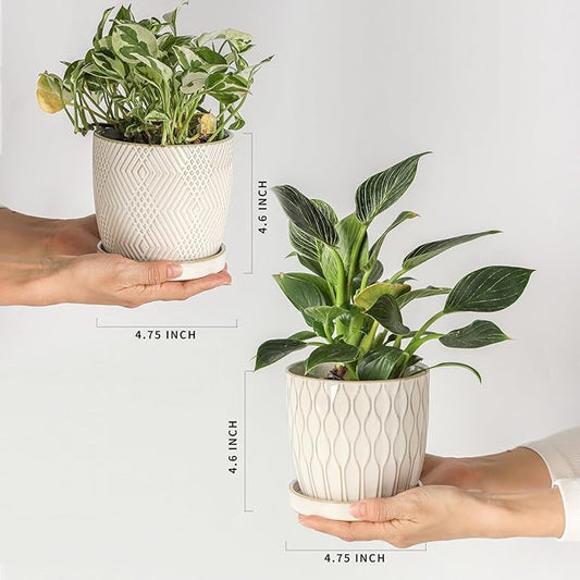 Nihow Ceramic Plant Pots - 4.75 Inch Planters for Indoor Plants,Embossed Flower Pots with Drainage Hole & Saucer,Small Pots for Succulent,Cactus,Little Snake,Set of 2,White -3