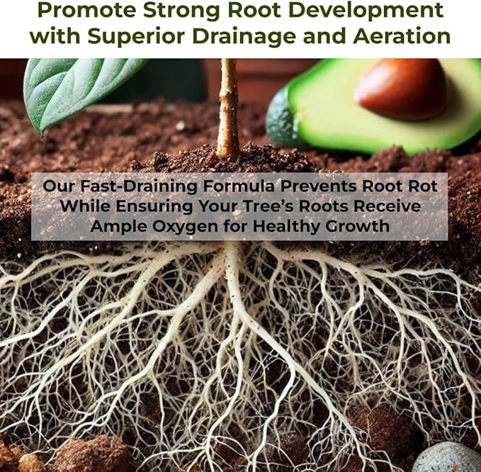 Avocado Tree Soil – Premium Organic Potting Mix for Avocado Trees | Tailored pH & Organic Nutrients | Fast-Draining & Moisture-Retaining | Indoor & Outdoor Use (3 QUARTS)